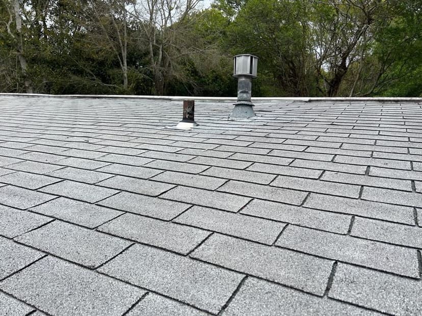 Expert Craftsmanship's image